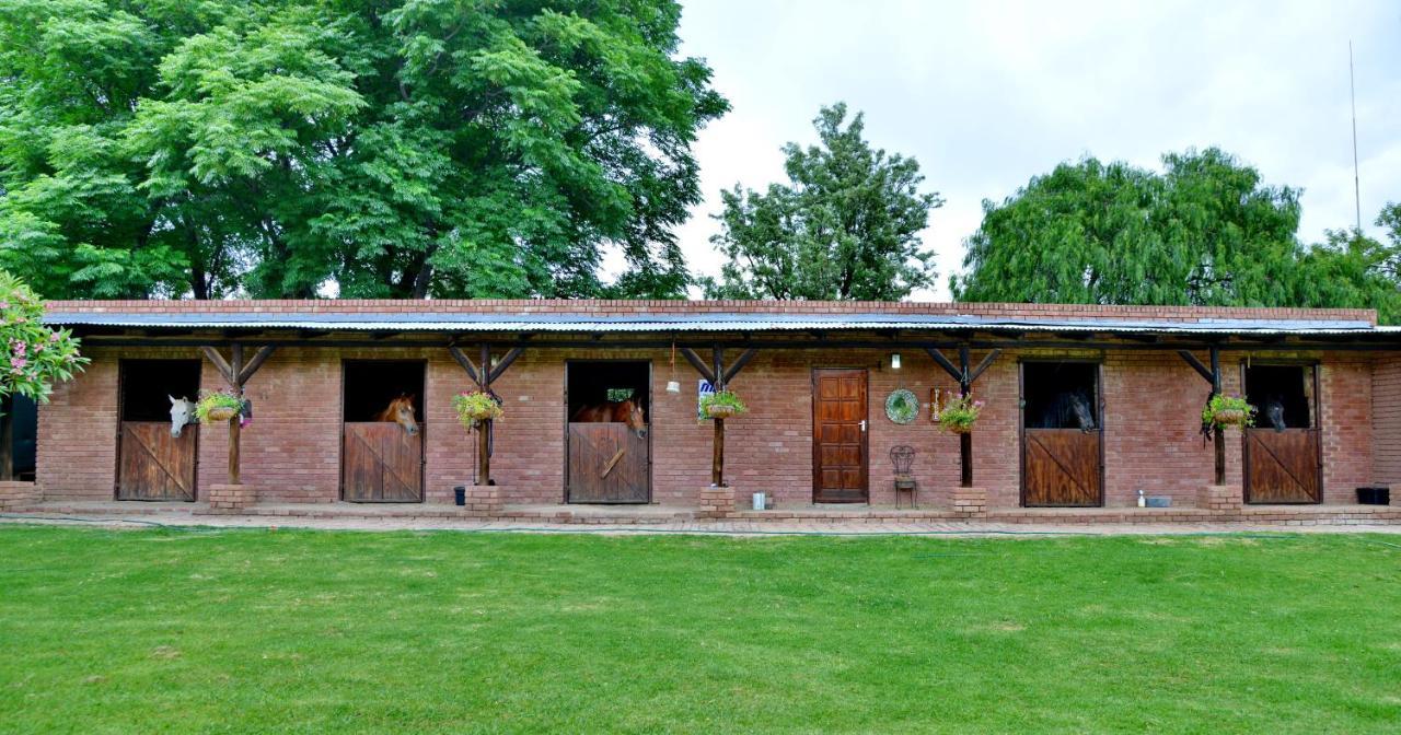Owls Loft Guest House Midrand Exteriör bild