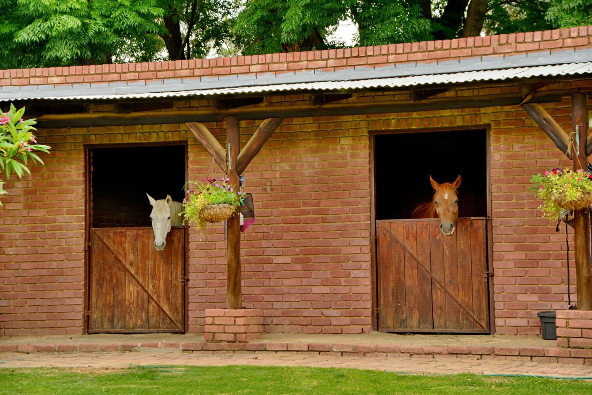 Owls Loft Guest House Midrand Exteriör bild