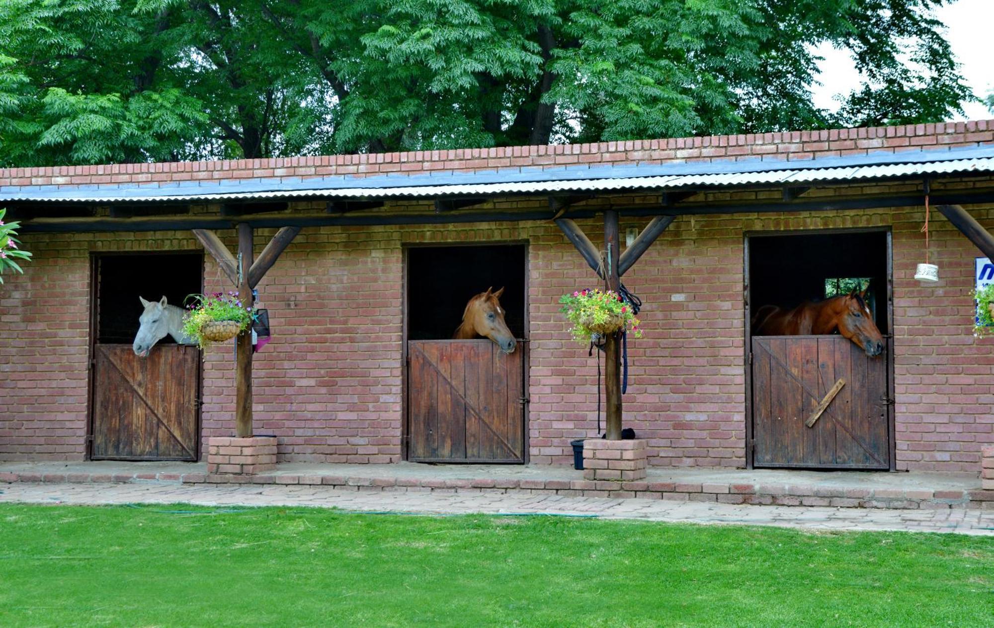 Owls Loft Guest House Midrand Exteriör bild